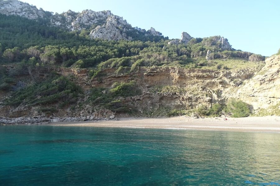 From Can Picafort: Dolphin Watching and Cave Boat Trip - Key things that make this trip worth your attention