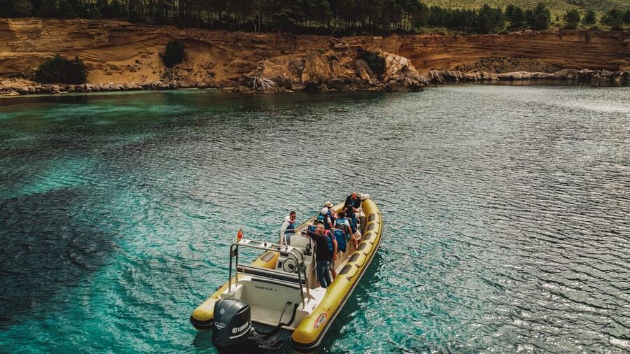 From Can Picafort: Dolphin Watching and Cave Boat Trip - Your 3-hour dolphin chase starts at Can Picafort’s harbor