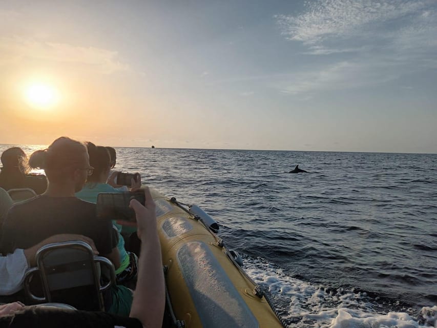 From Can Picafort: Dolphin Watching and Cave Boat Trip - What to bring so you enjoy every part of the trip