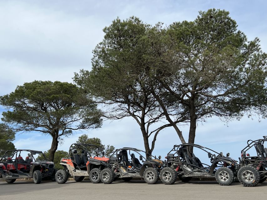 From East Mallorca: Guided Beach and Mountain Buggy Tour - Rules and Limits You Should Read Before You Pack