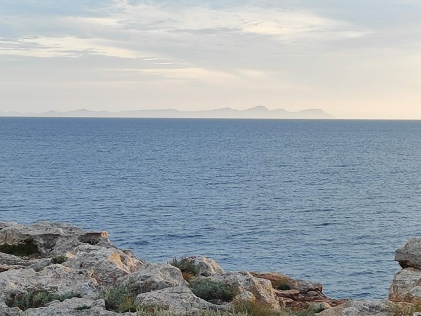 From Mallorca: Guided Day Trip to Menorca - Binibeca and Ciutadella Old Town: White Streets and Portside History