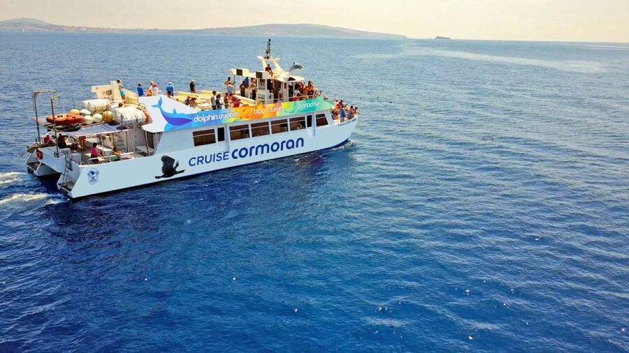 From Paguera: Dolphin Watching Cruise in a Glass-Bottom Boat - Key Things I’d Focus On