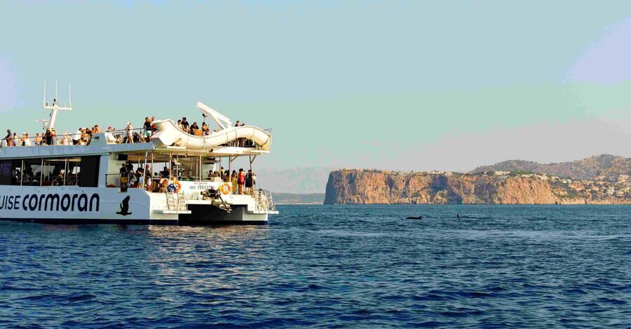 From Paguera: Dolphin Watching Cruise in a Glass-Bottom Boat - The Glass-Bottom Boat Part: Useful, But Don’t Bank on It
