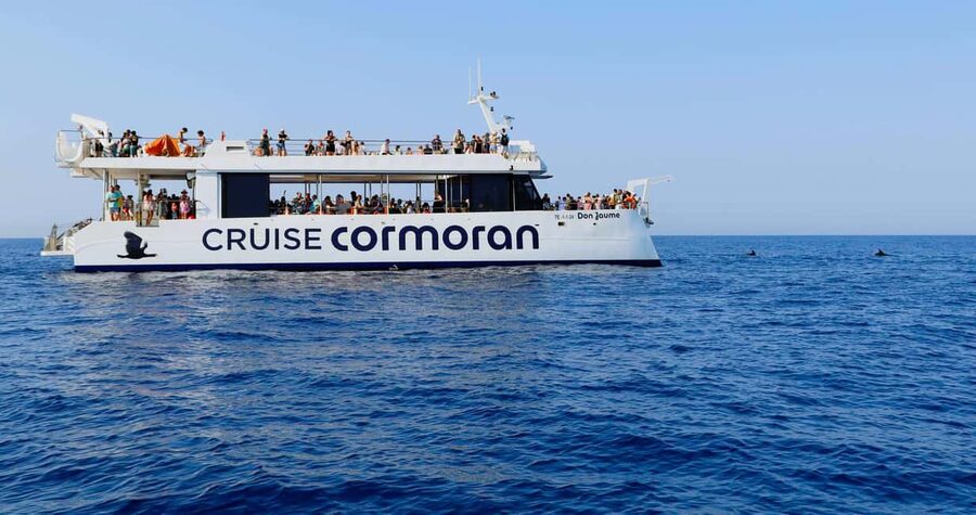 From Paguera: Dolphin Watching Cruise in a Glass-Bottom Boat - Views on the Way Back: The Coast Adds Meaning