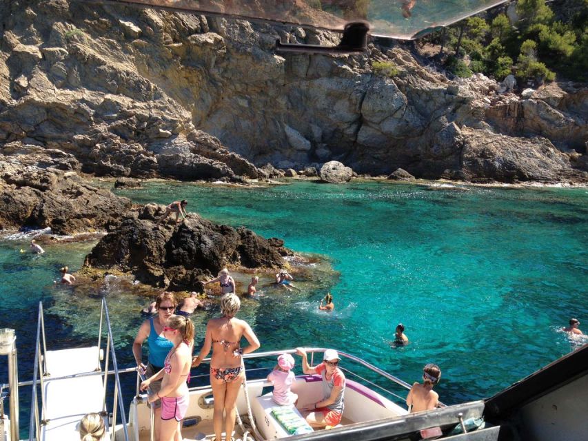 From Palma: 3-Hour Morning Dolphin Watching Boat Tour - The Dolphin-Spotting Angle Off Palma That Actually Matters