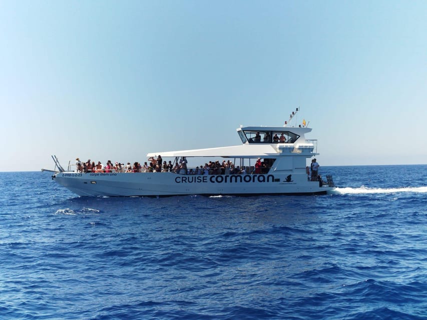From Palma: 3-Hour Morning Dolphin Watching Boat Tour - Key Points to Know Before You Book