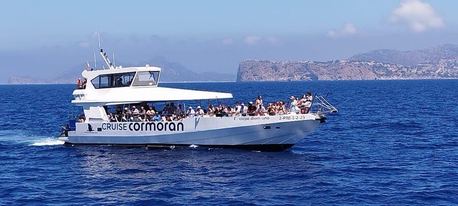 From Palma: 3-Hour Morning Dolphin Watching Boat Tour - Before You Go: Simple Packing That Saves Hassles