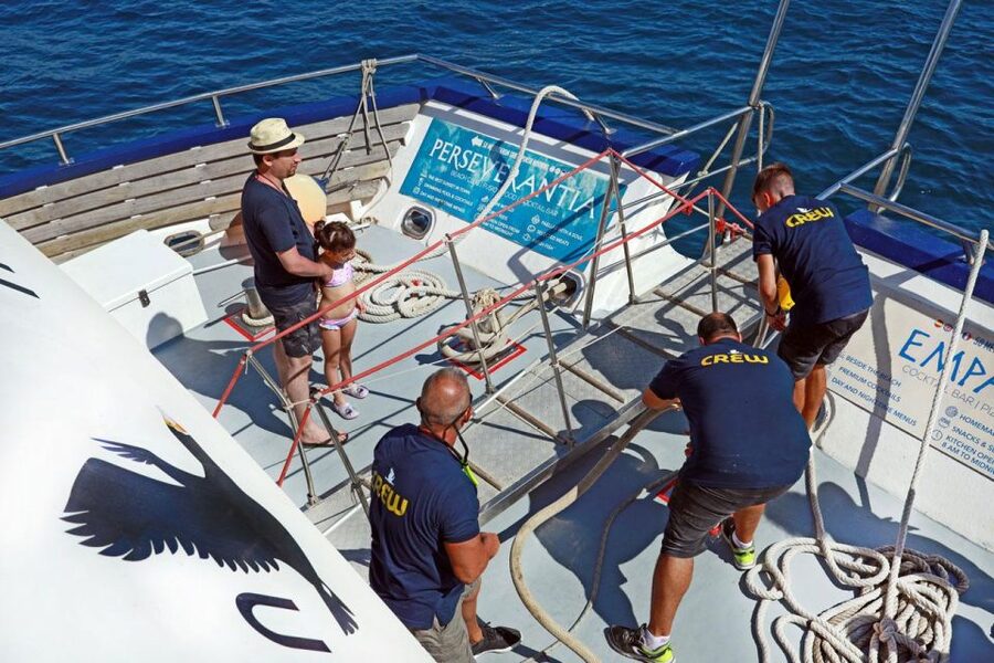 From Palma: 3-Hour Morning Dolphin Watching Boat Tour - The Morning Timeline: What Happens in the 3 Hours