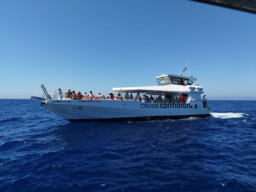 From Palma: 3-Hour Morning Dolphin Watching Boat Tour - Where the Tour Can Feel Tight: Time, Transfers, and Communication