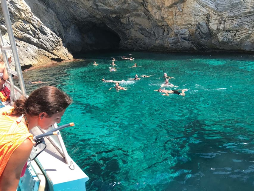 From Palma: Afternoon Dolphin-Watching Boat Tour - A Speedboat Dolphin Hunt That’s Built for Real Sea Time