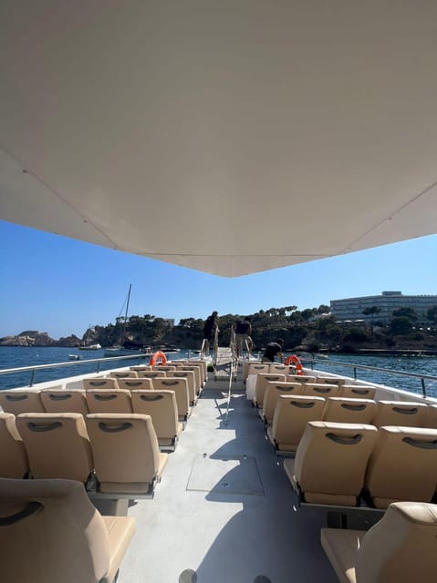 From Palma: Afternoon Dolphin-Watching Boat Tour - Who Should Book This Dolphin Tour (and Who Should Skip It)