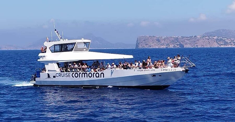 From Palma: Afternoon Dolphin-Watching Boat Tour - Dolphin-Watching: Wild Animals, Plus a Practical Captain