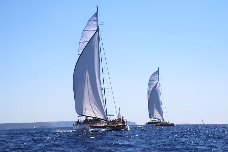 From Palma de Mallorca: Boat Cruise to Illetes - Key highlights worth knowing