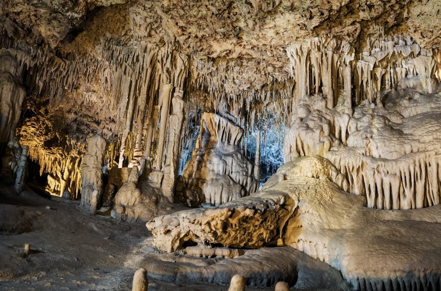 From Palma de Mallorca: Dinosaurland tour - FAQ