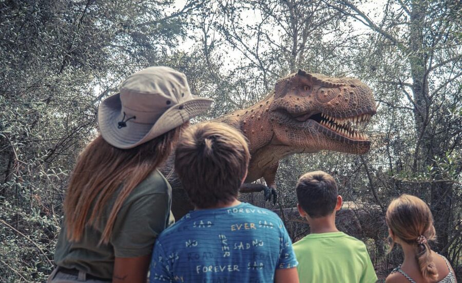 From Palma de Mallorca: Dinosaurland tour - Price and value: why $68 can make sense here