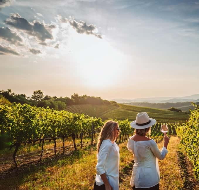 From Palma de Mallorca: Private Wine and Local Flavors Tour - Why This 3-Hour Palma Wine Tour Fits Your Day