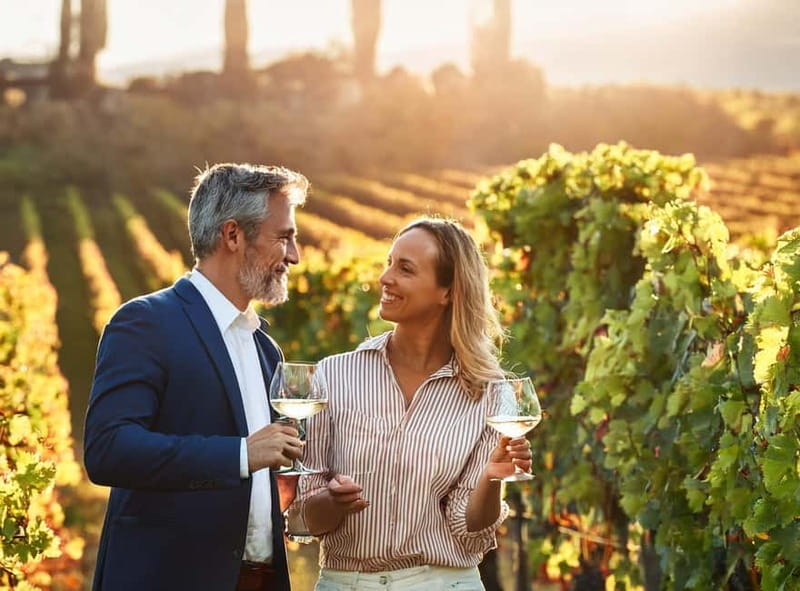 From Palma de Mallorca: Private Wine and Local Flavors Tour - Getting There From Palma: Meeting Point and the Small-Group Feel