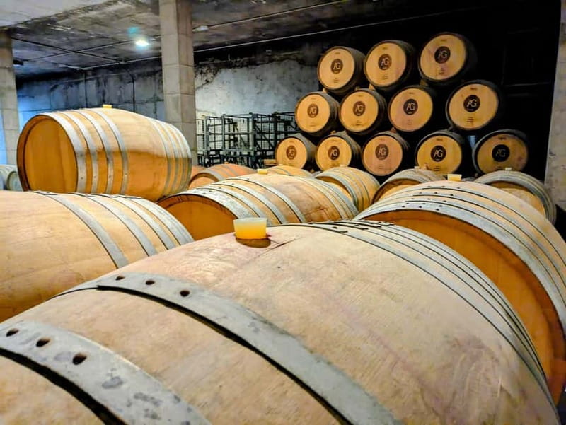 From Palma de Mallorca: Private Wine and Local Flavors Tour - Inside the Winery: Vineyards, Family Craft, and Binissalem Identity