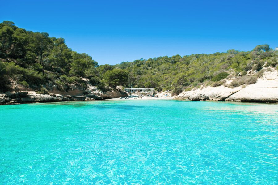 From Palma: Portal Vells Beach and Cave SUP & Snorkel Tour - Key highlights at a glance