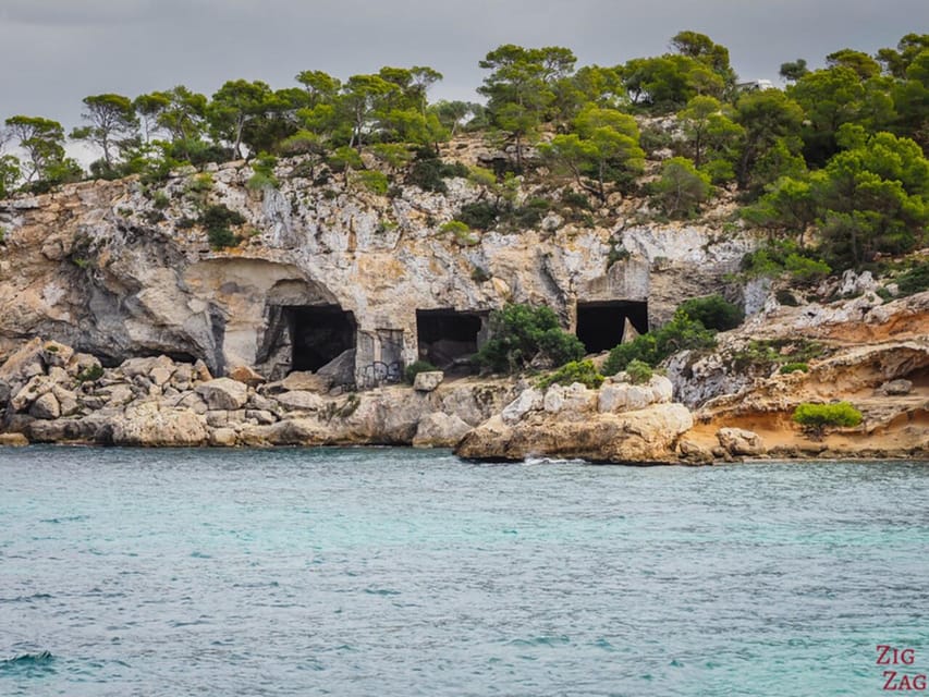 From Palma: Portal Vells Beach and Cave SUP & Snorkel Tour - What’s included (and why it actually matters)