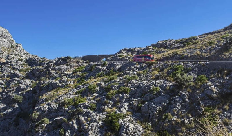 From Palma: Serra Tramuntana and Lluc Monastery Guided Tour - Price and value: why $117 can make sense here