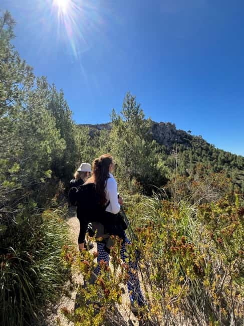From Palma: Sierra de Tramuntana Hiking with small Picnic - Who this hike suits best (and who should skip it)