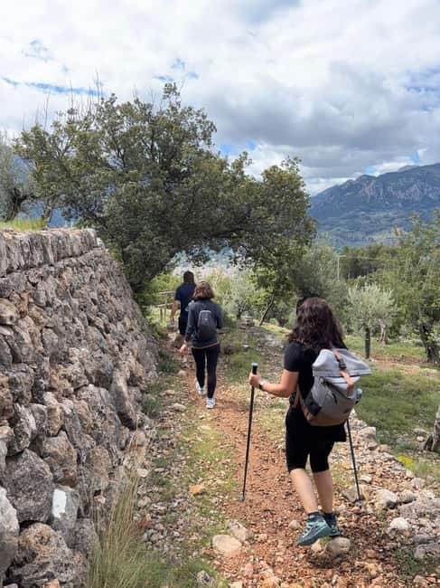 From Palma: Sierra de Tramuntana Hiking with small Picnic - Sierra de Tramuntana: what makes this hike worth your morning
