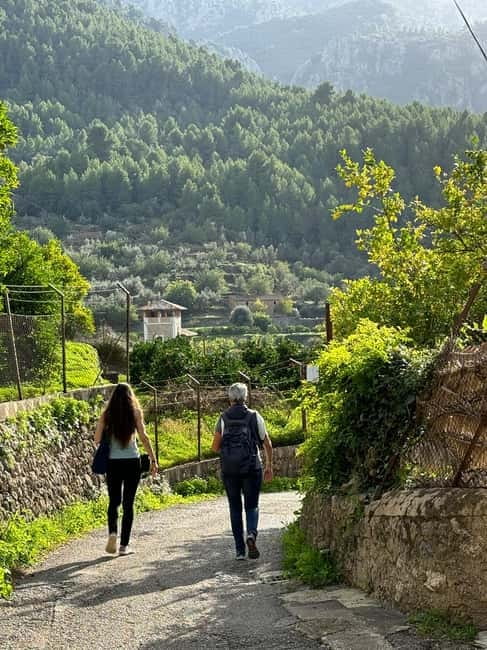 From Palma: Sierra de Tramuntana Hiking with small Picnic - Walking GR221: how you get the famous trail without making it a grind