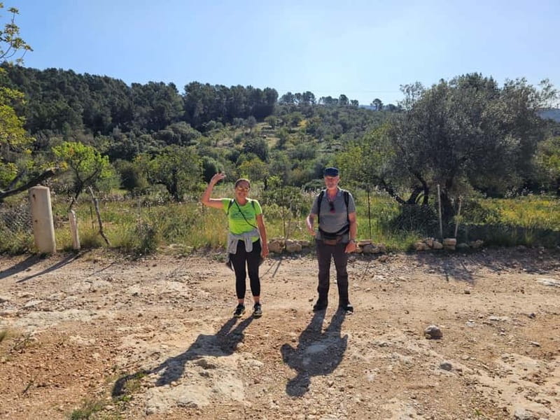 From Palma: Sierra de Tramuntana Hiking with small Picnic - Heat season option: lighter hiking plus a possible beach swim
