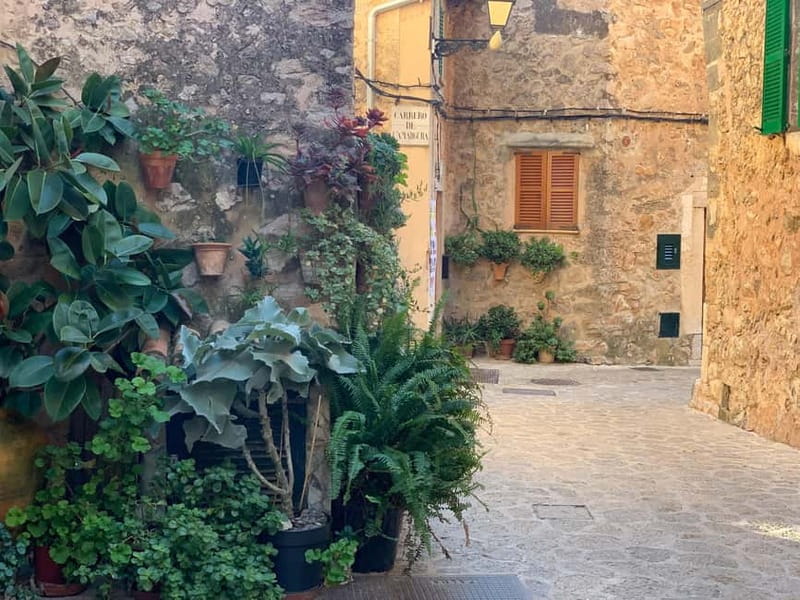 From Palma: Valldemossa Tour and Mountain Viewpoint Hike - Key Highlights You Should Know Before You Go