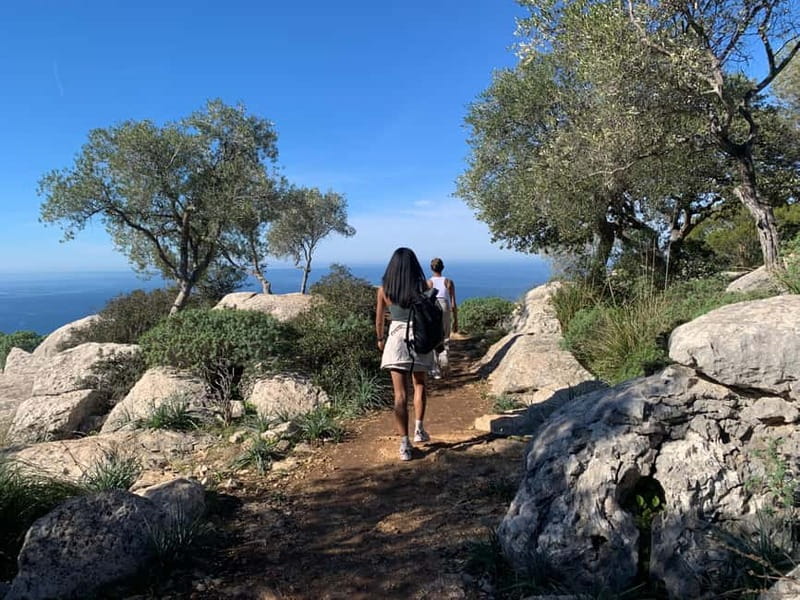 From Palma: Valldemossa Tour and Mountain Viewpoint Hike - Palma to Valldemossa: the convenient ride up into the hills