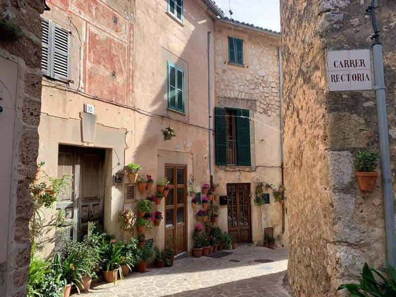 From Palma: Valldemossa Tour and Mountain Viewpoint Hike - Price and value: is $105 fair for this mix of hike + town + transport?