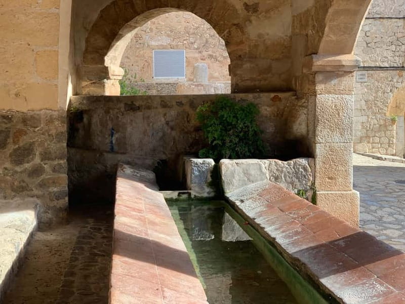 From Palma: Valldemossa Tour and Mountain Viewpoint Hike - Who this tour is best for (and who might not love it)