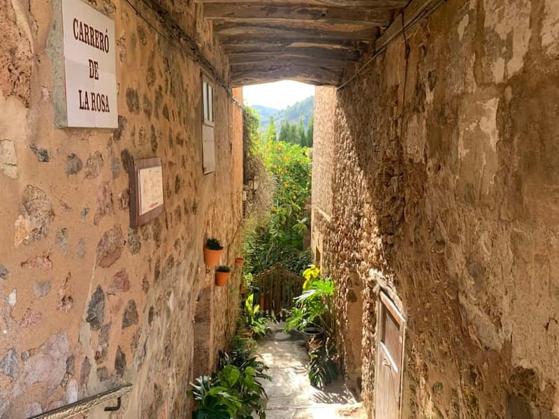 From Palma: Valldemossa Tour and Mountain Viewpoint Hike - Should you book the Palma to Valldemossa tour with viewpoints?