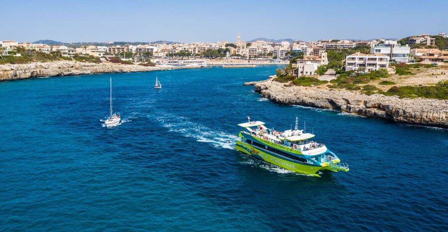 From Porto Cristo: East Coast Glass-Bottom Boat Trip - Glass-Bottom Windows: What You Can Expect to See