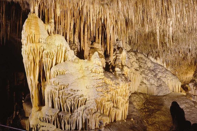 Full-Day Mallorca Caves Tour: Drach, Hams & Pearl Factory Visit - Porto Cristo Beach and the Lunch Window You Actually Need