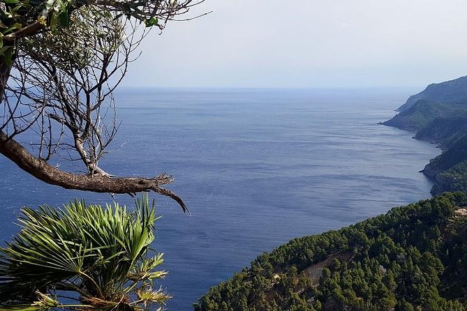 Full-Day Mallorca Caves Tour: Drach, Hams & Pearl Factory Visit - Is This Good Value at $94.91?