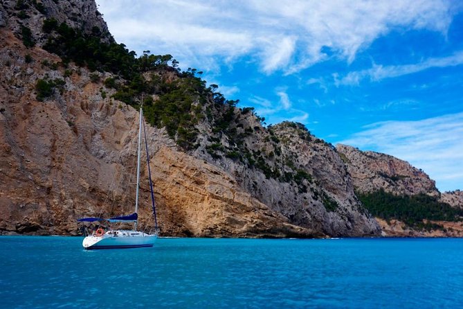 Full-day sailing excursion along the coast - Cala Tuent’s 3 Hours of Water Time