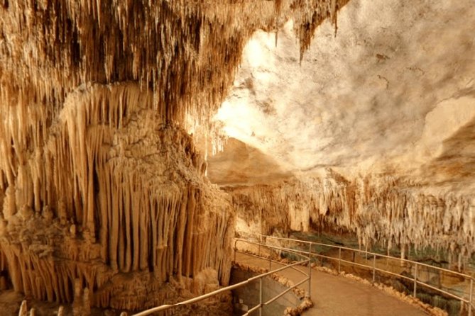 Full-day Tour to Drach Caves and Portocristo Town - Majorica Pearl Shop: what to expect from the hour