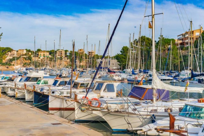Full-day Tour to Drach Caves and Portocristo Town - Price and value: $75.63 for an organized day with admissions