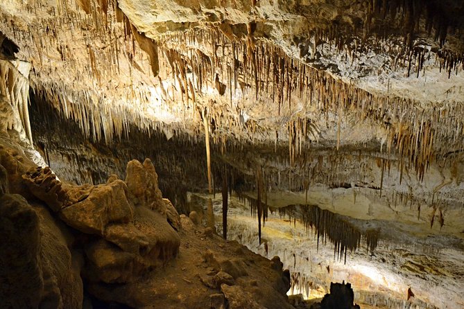 Full day tour to the Caves of Drach and Caves of Hams in Mallorca - Majorica Pearl Factory Stop: What You’ll Actually Learn (and Buy)