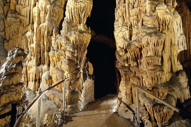 Full day tour to the Caves of Drach and Caves of Hams in Mallorca - Price and Value: Is $82.26 a Good Deal?