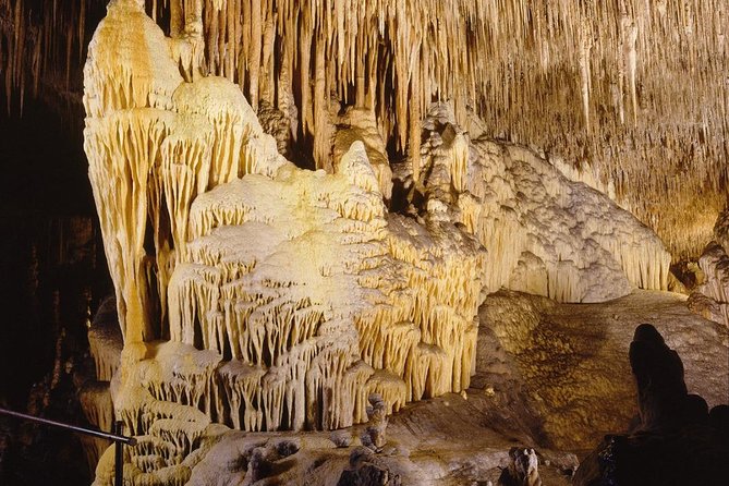 Full day tour to the Caves of Drach and Caves of Hams in Mallorca - Best Fit: Who This Tour Suits—and Who Should Rethink It