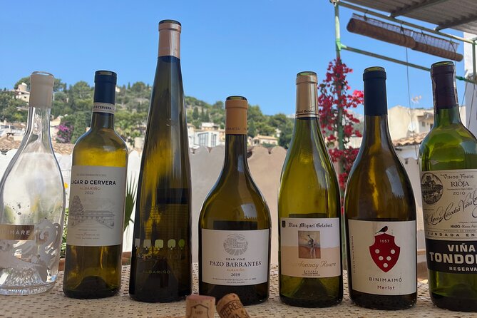 Gastronomic Wine Tasting Experience Guided by a Sommelier - Snacks and pairings: why the bites matter for your palate