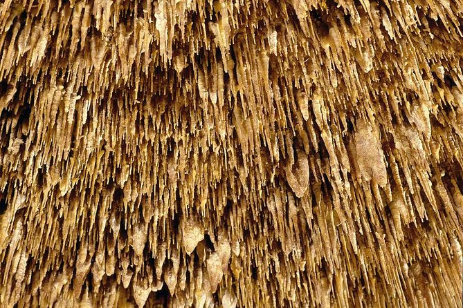 Guided Full-Day Tour of Drach Caves, Porto Cristo & Pearl Factory - How pickup and bus logistics shape your day