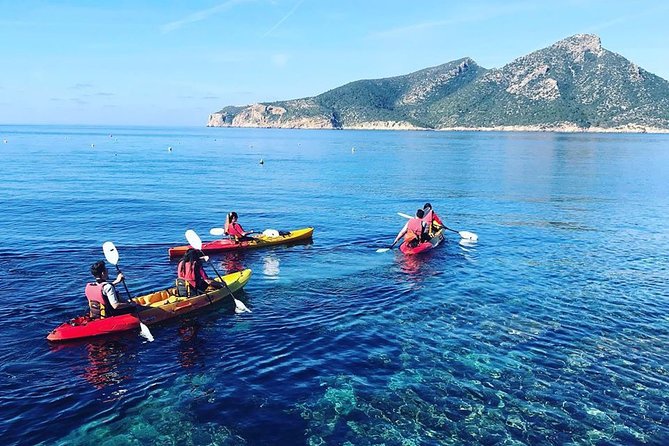 Guided Kayak & Hike from Sant Elm to Sa Dragonera - Why This Sant Elm to Sa Dragonera Day Works So Well