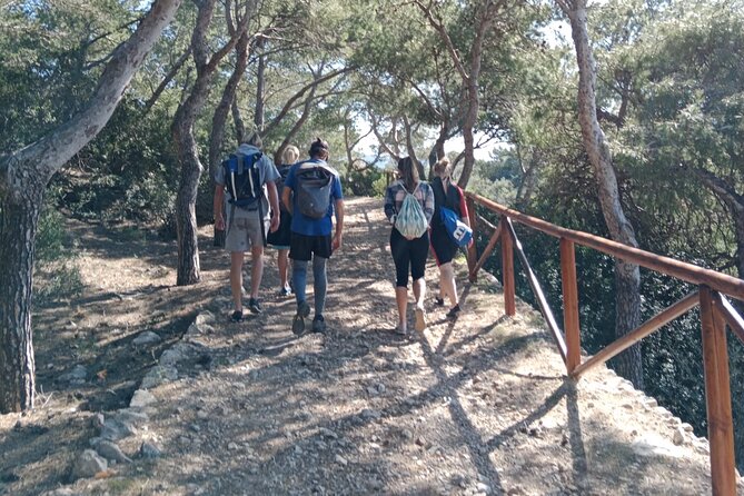 Guided Kayak & Hike from Sant Elm to Sa Dragonera - Free Time to Swim and Snorkel (Because Why Not)