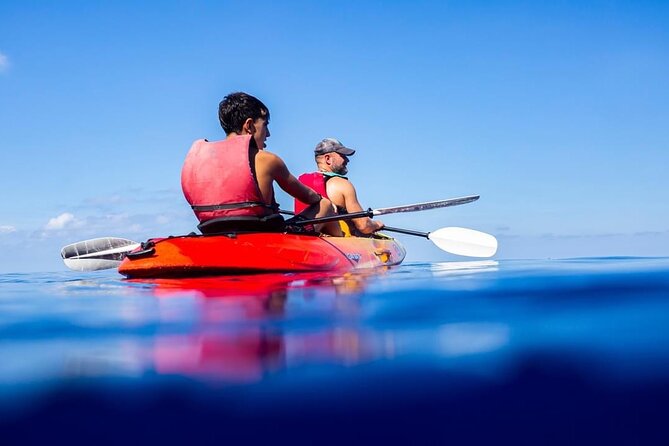 Guided Kayak Tour from Sant Elm to Sa Dragonera - Timing and getting there in Sant Elm
