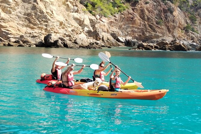 Guided Kayak Tour from Sant Elm to Sa Dragonera - Price and value: what $71.04 buys you