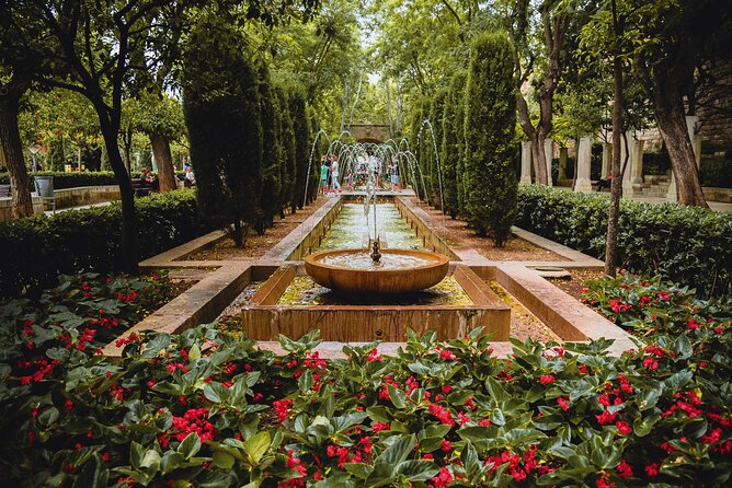 Guided route and visit to the Cathedral of Palma (2h) - Plaza de Cort and the shopping streets: local Palma in miniature